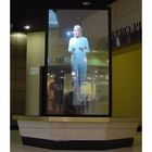 Reflective Transparent Projection Screen Film , Advertisement Holographic Projection Film,Holographic Vinyl Film 